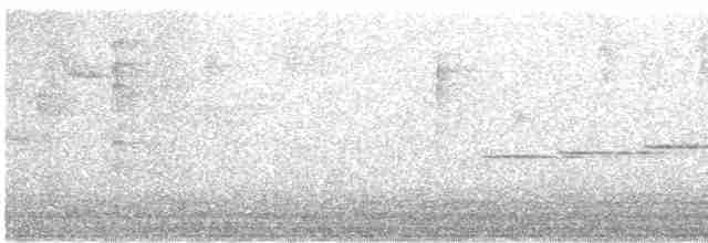 Bülbül Sesli Çıtkuşu - ML617147779