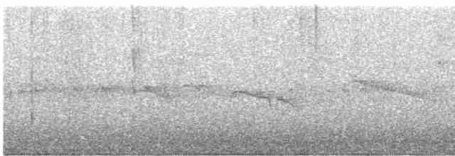 オオツリスアマツバメ - ML617147836