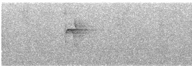 Светлогорлый тенелюб - ML617148118