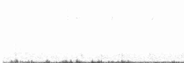 Опоясанный зимородок - ML617148981