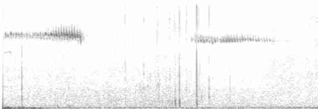 Широкохвостый колибри - ML617149597