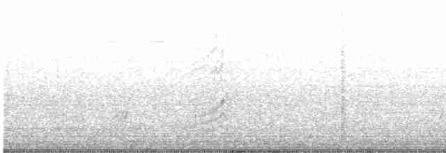 Kara Gagalı Saksağan - ML617149709