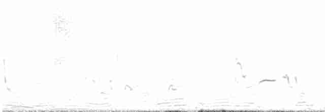 Rotsteiß-Spottdrossel - ML617151209