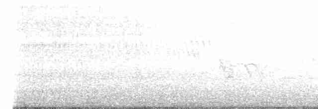 Омелюх звичайний - ML617152156