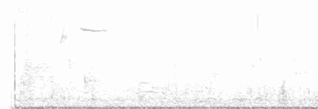 Малая морская чернеть - ML617152231