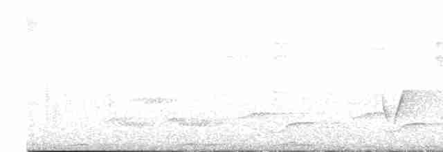 Kahverengi Tepeli Çalı Serçesi [brunneinucha grubu] - ML617154301