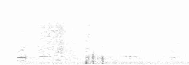 Сичик-горобець гірський - ML617155570