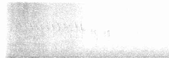 křivka bělokřídlá - ML617156313