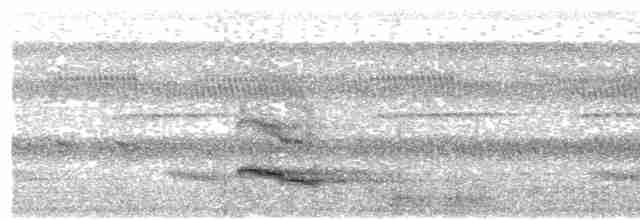 Channel-billed Toucan (Channel-billed) - ML617156996
