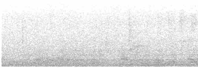 Трупіал-чернець галасливий - ML617157341