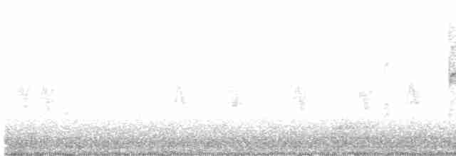 rorýs bělohrdlý - ML617157355