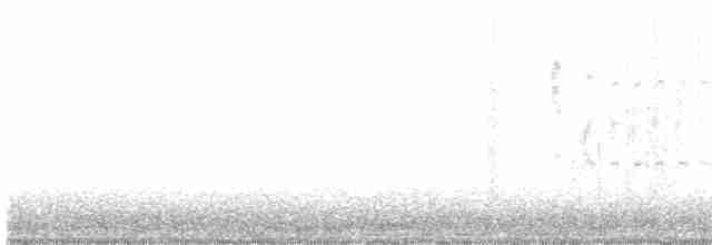 White-throated Swift - ML617157356