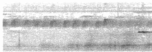 Rotschwanz-Ameisenvogel - ML617158152