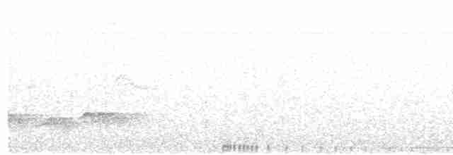blånakkemaurpitta - ML617158463