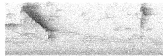 White-naped Brushfinch - ML617159760