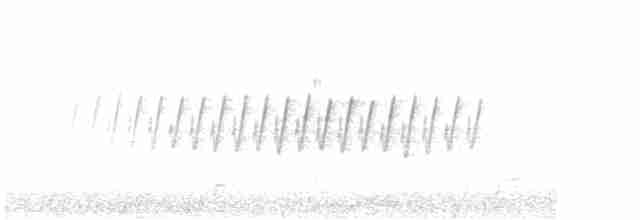 Pine Warbler - ML617160153