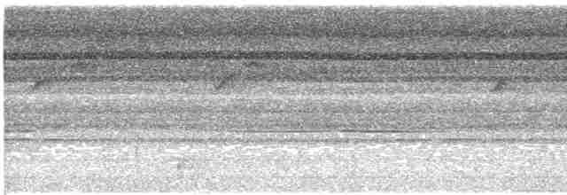 Everett Arapbülbülü - ML617162154