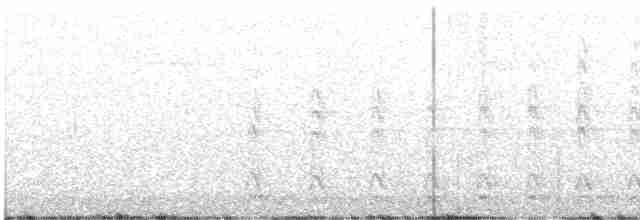 Pileated Woodpecker - ML617162234