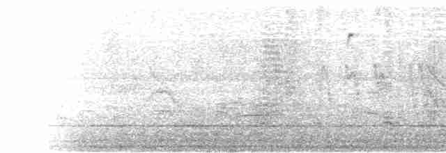 אנפית בקר מערבית - ML617162554