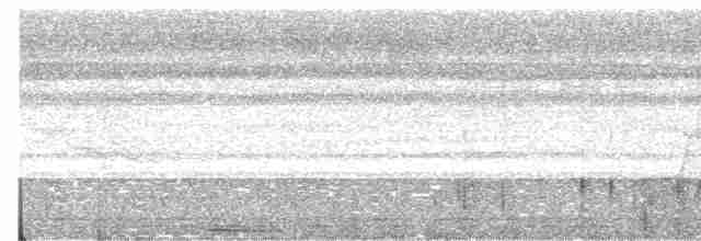holub rudoprsý - ML617162599
