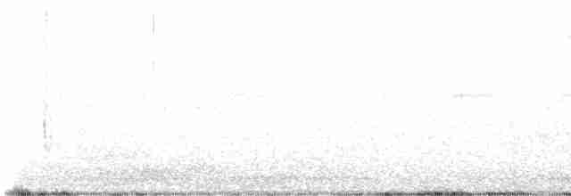White-eyed Vireo (White-eyed) - ML617162674