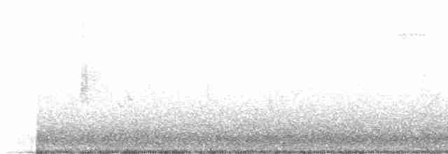 Yellow-throated Warbler - ML617163230