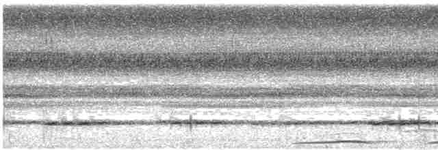 Минданаоская иглоногая сова - ML617163864