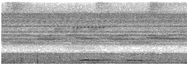 Минданаоская иглоногая сова - ML617164632