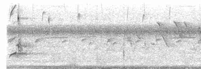 Crested Bobwhite - ML617165116