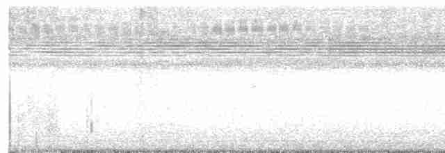 Çizgili Kulaklı Baykuş - ML617166652