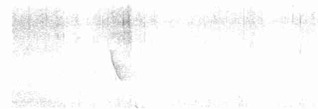 Hawaii-Sichelkleidervogel - ML617167051