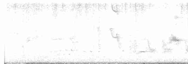 Тремблер кактусовий - ML617167078