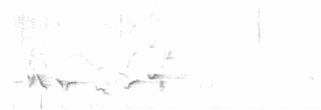 Hawaii-Sichelkleidervogel - ML617167374