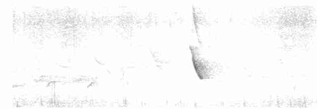 Hawaii-Sichelkleidervogel - ML617167402