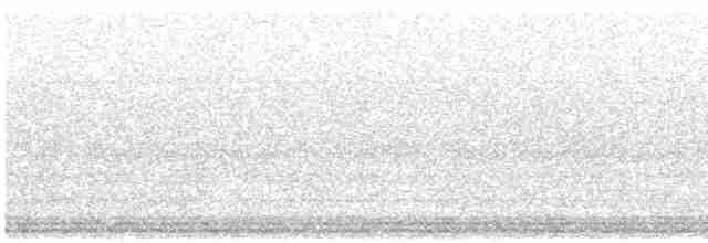 Black-bellied Plover - ML617167653