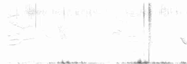 Hawaii-Sichelkleidervogel - ML617167662