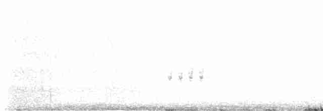 Kaya Çıtkuşu - ML617167809