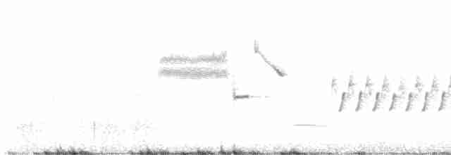 Длиннохвостый крапивник - ML617167833