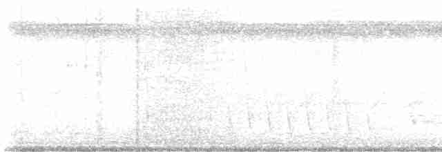 Mangrov Islıkçısı - ML617167913