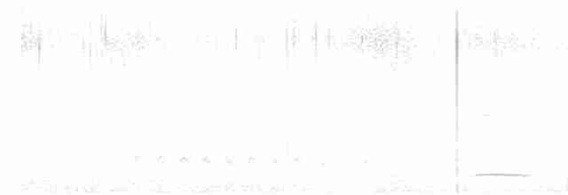 Ring-necked Pheasant - ML617168273