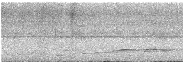 Haubenschlangenadler - ML617168525