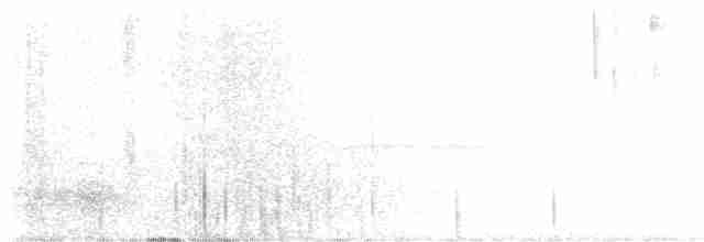 Серогрудая эления - ML617169824