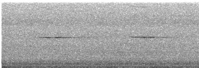 Горихвістка сиза - ML617170365