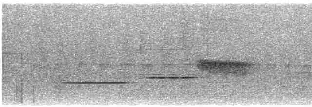 Каштановогрудый крапивник - ML617170431