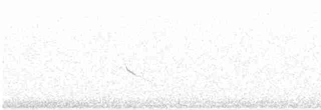 Plectrophane des neiges - ML617170654