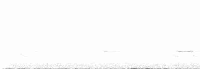 Дятел-смоктун сосновий - ML617171250