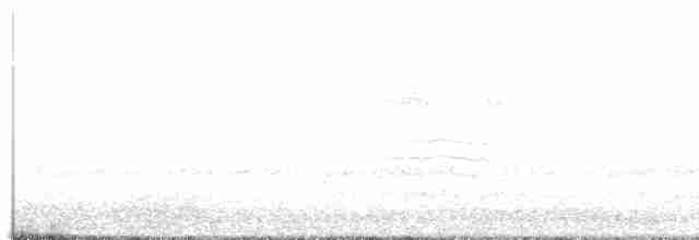 Пересмішник сірий - ML617171673