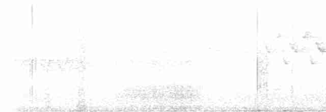 Cerulean Warbler - ML617173231