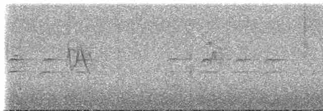 křivka bělokřídlá - ML617173286