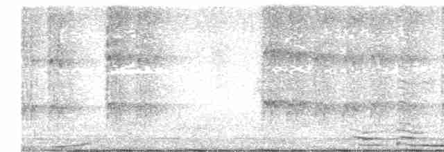 Alción de Esmirna - ML617173910